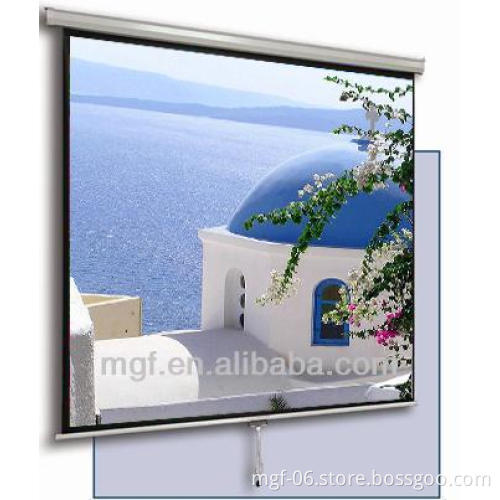 1:1 Manual Fireproof Projector Screen
